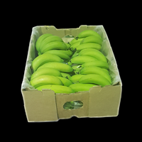 Bananas Green 15kg  CASE ( 2kg Extra )
