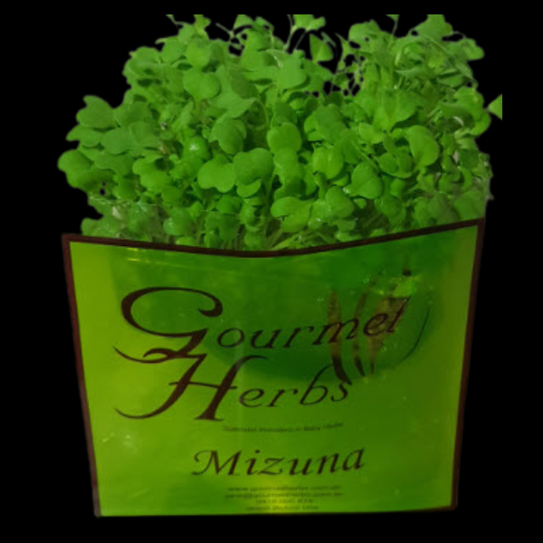 Herbs Living - Minuza Punnet