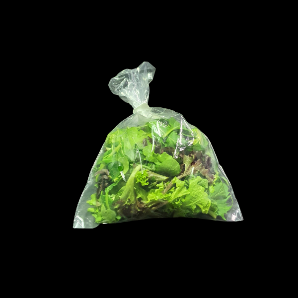 Saladcress (100gm Pack)