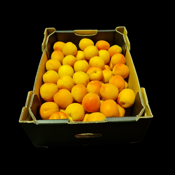 Apricots 5kgs Case